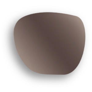 Polarized Sunglasses